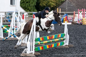 Class 6 - Fences not above 2'9